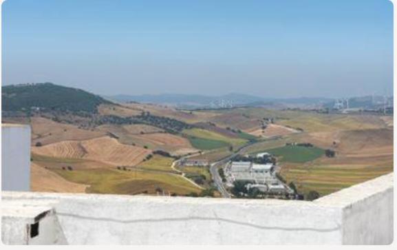 Geranio Vejer de la Frontera